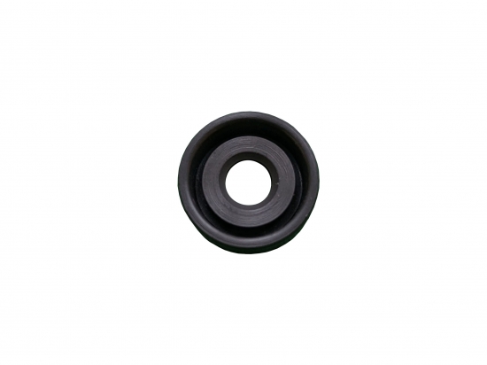 Motor Shaft Seal