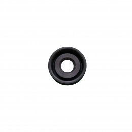 Motor Shaft Seal